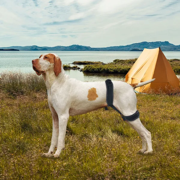 Dog Hip Brace for Hind Leg