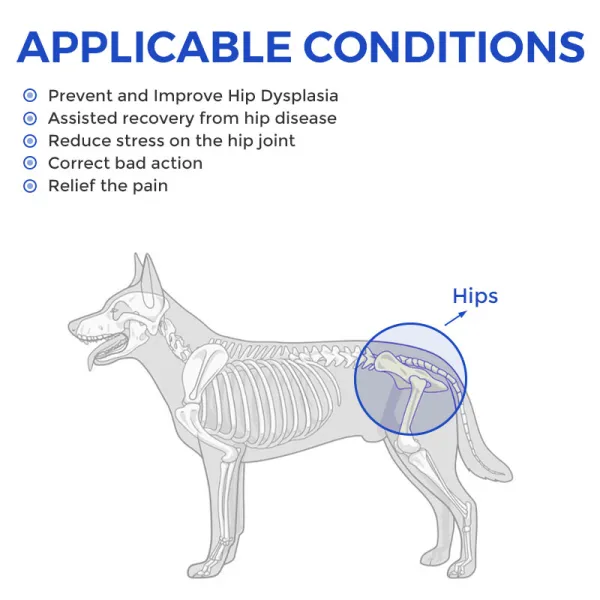 Dog Hip Brace for Hind Leg