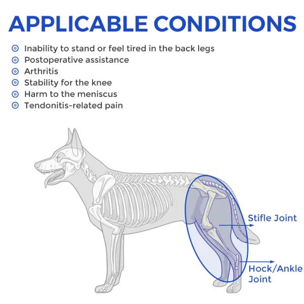 Dog Knee Brace for Back Leg Torn CCL