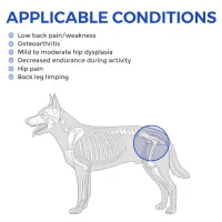 Dog Hip Support Brace for Dysplasia