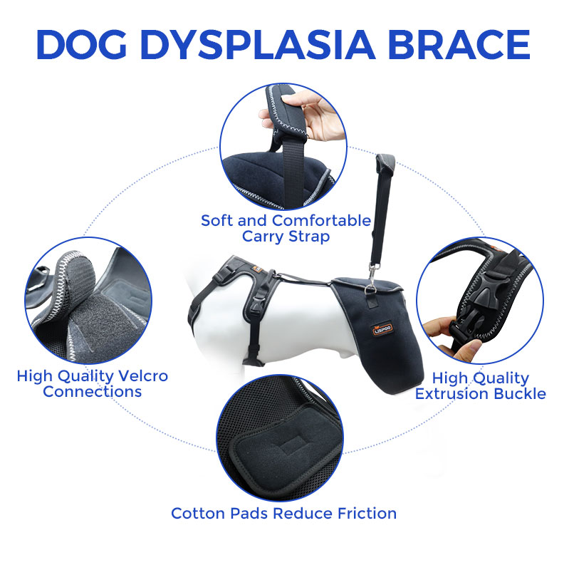 Dog Hip Support Brace for Dysplasia