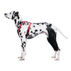 Dog Knee Brace for Torn Acl Leg