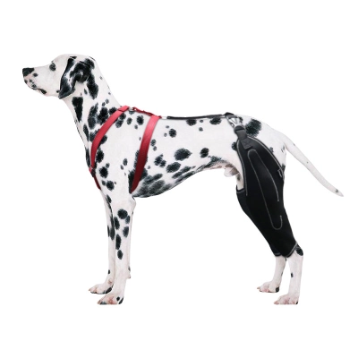 Dog Knee Brace for Torn Acl Leg 01