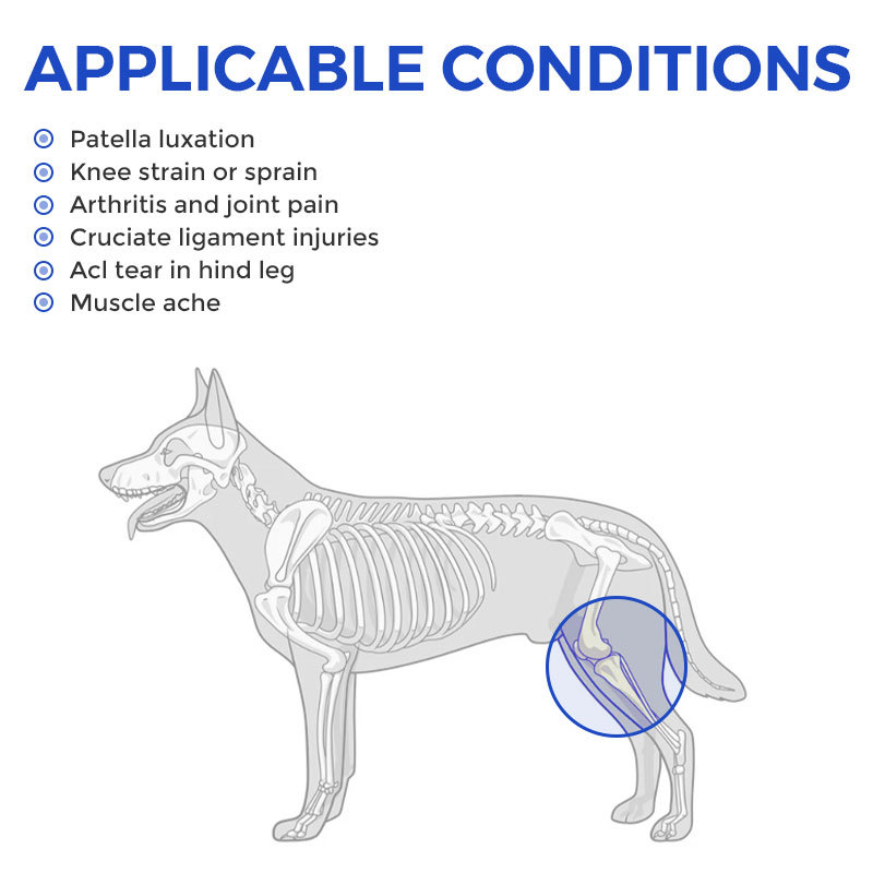 Dog Knee Brace for Torn Acl Leg