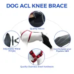 Dog Knee Brace for Torn Acl Leg