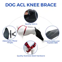 Dog Knee Brace for Torn Acl  Leg