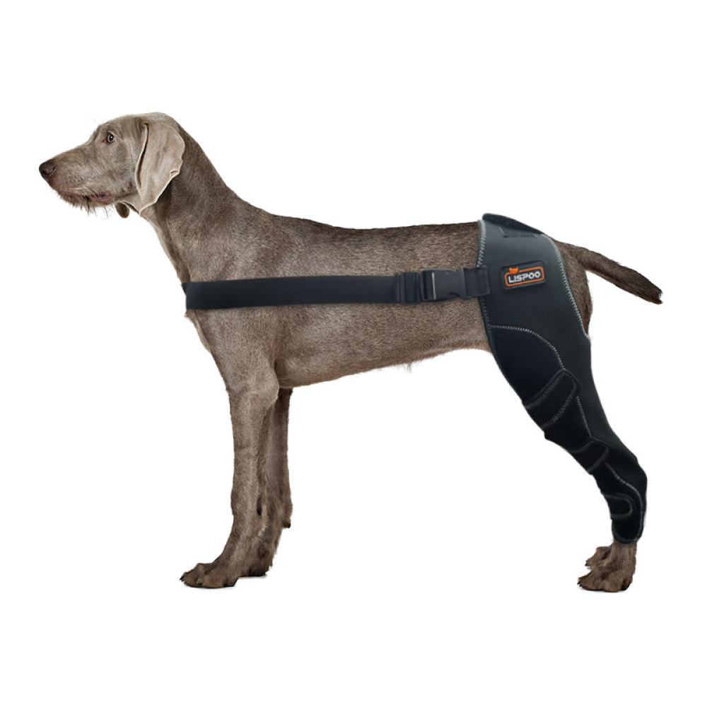 Dog Leg Brace for Acl Injury