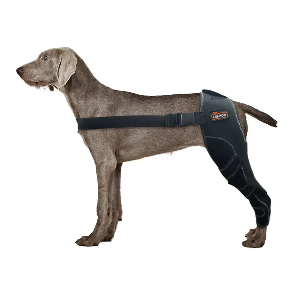 Dog Leg Brace for Acl Injury