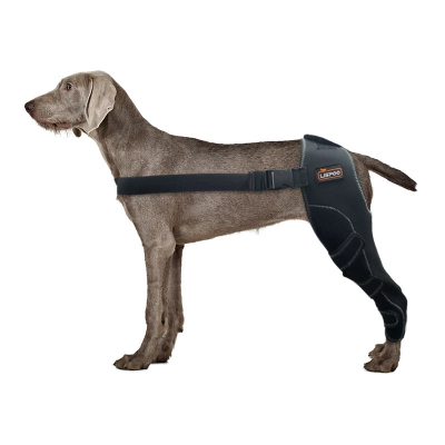 Dog Leg Brace for Acl Injury 01