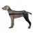 Dog Leg Brace for Acl Injury