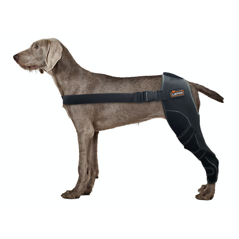 Dog Leg Brace for Acl Injury