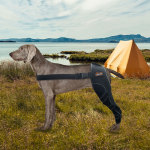 Dog Leg Brace for Acl Injury