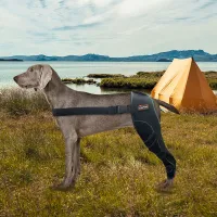 Dog Leg Brace for Acl Injury