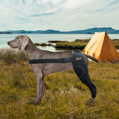 Dog Leg Brace for Acl Injury 02