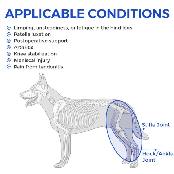 Dog Leg Brace for Acl Injury