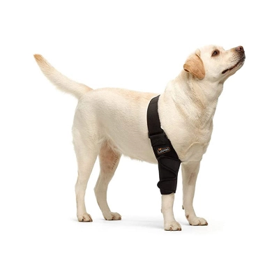Elbow Support Brace for Labrador Dogs 01