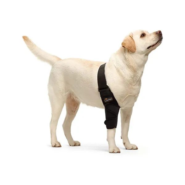Elbow Support Brace for Labrador Dogs