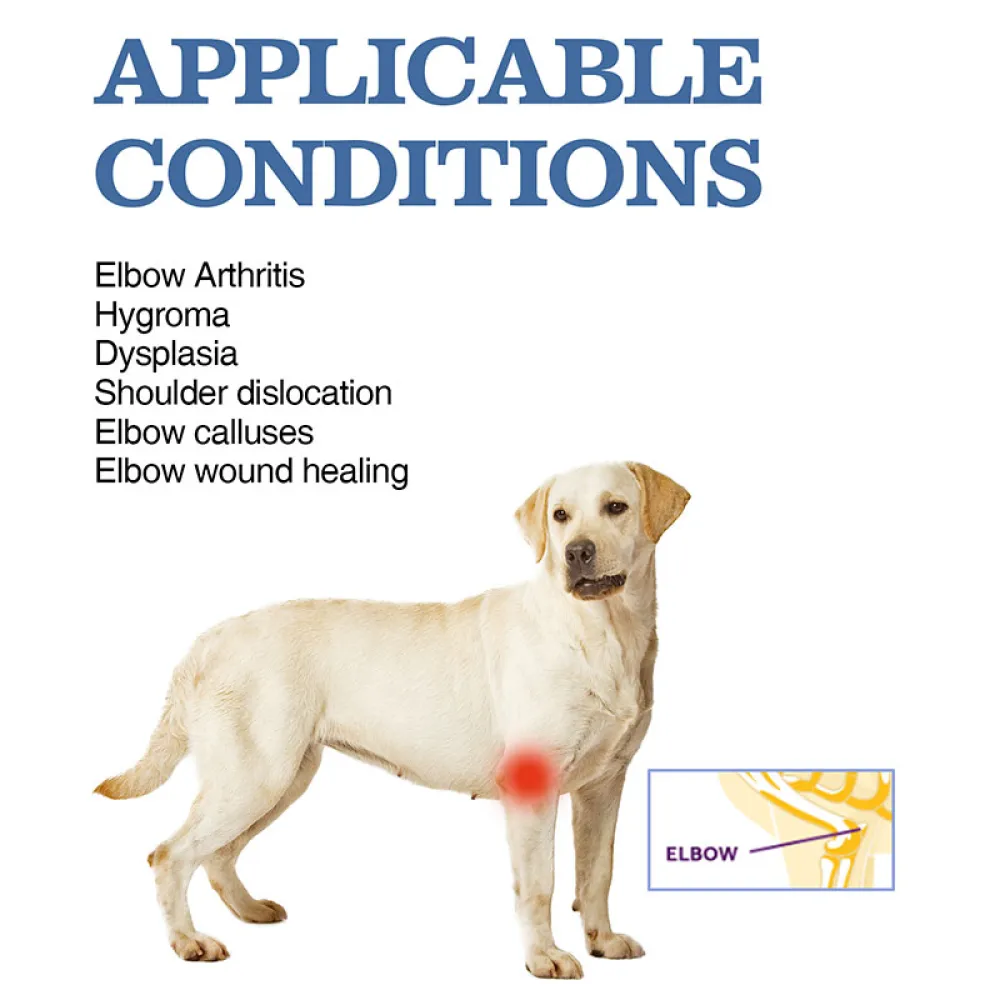 Elbow Support Brace for Labrador Dogs