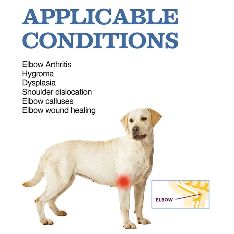 Elbow Support Brace for Labrador Dogs