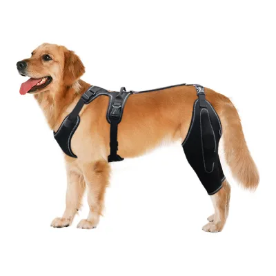 Golden Retriever Dog Knee Brace with Metal Splint Hinge Support 01