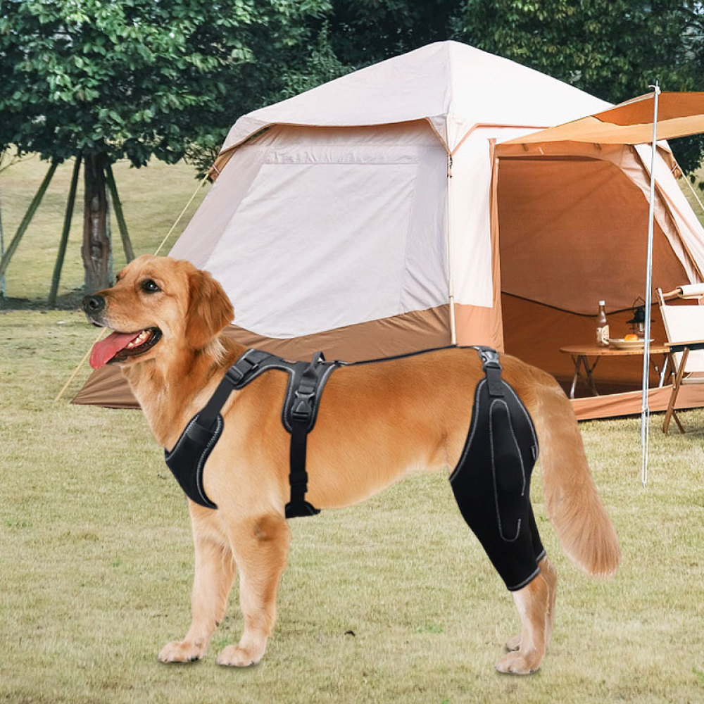 Golden Retriever Dog Knee Brace with Metal Splint Hinge Support