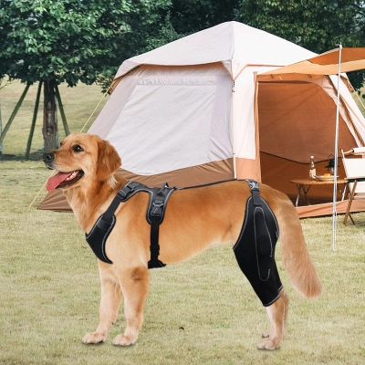 Golden Retriever Dog Knee Brace with Metal Splint Hinge Support 02