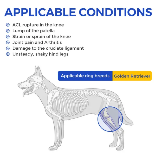 Golden Retriever Dog Knee Brace with Metal Splint Hinge Support