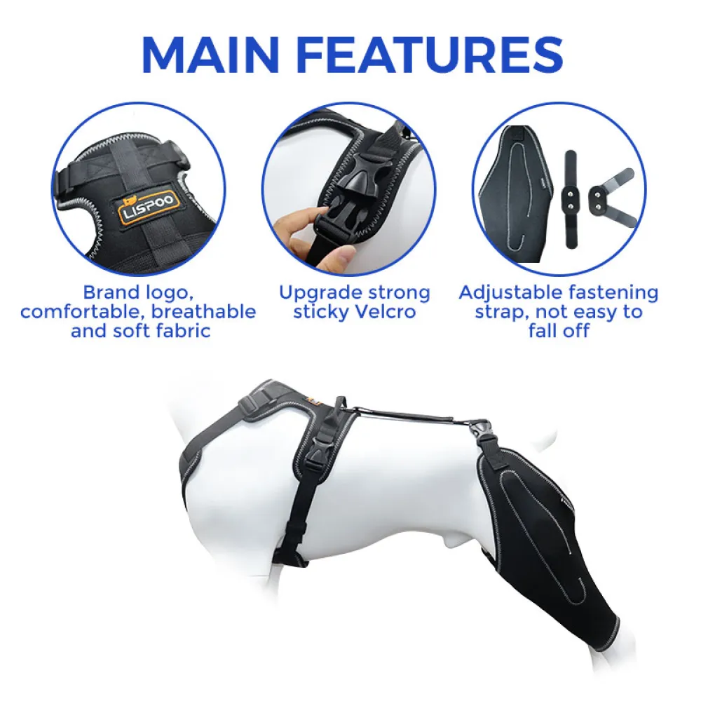 Golden Retriever Dog Knee Brace with Metal Splint Hinge Support