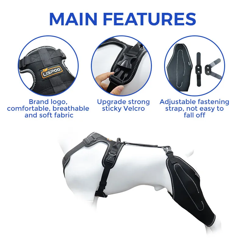 Golden Retriever Dog Knee Brace with Metal Splint Hinge Support