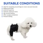 Dog Hip Hound Brace