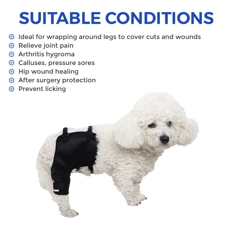 Dog Hip Hound Brace