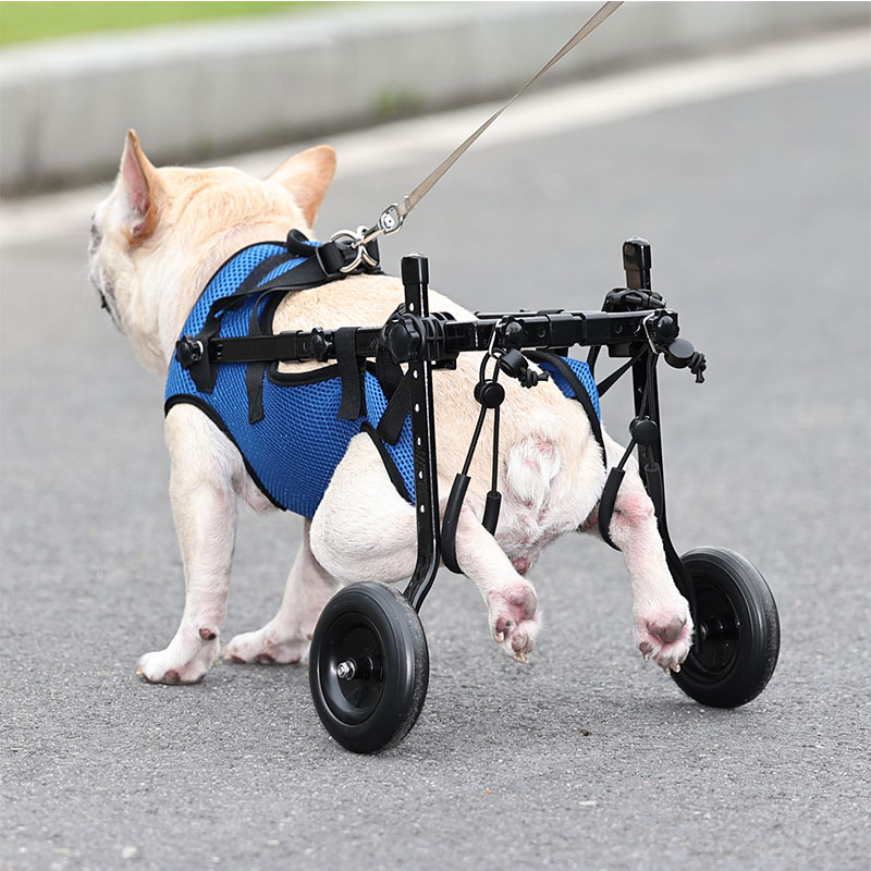 Dog Rear Leg Disability Rehabilitation Wheelchair