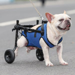 Dog Rear Leg Disability Rehabilitation Wheelchair