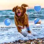 Adhesive Bandages for Dogs