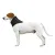 Dog Neck Support Brace