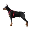 Doberman Pinscher Hip Support Brace for Hip Dysplasia