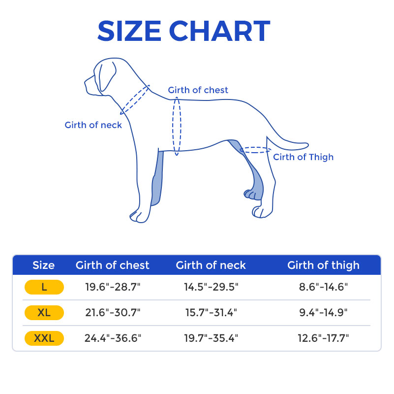 Doberman Pinscher Hip Support Brace for Hip Dysplasia
