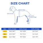 Doberman Pinscher Hip Support Brace for Hip Dysplasia
