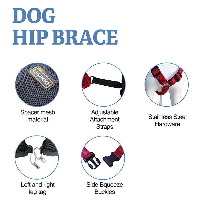 Doberman Pinscher Hip Support Brace for Hip Dysplasia