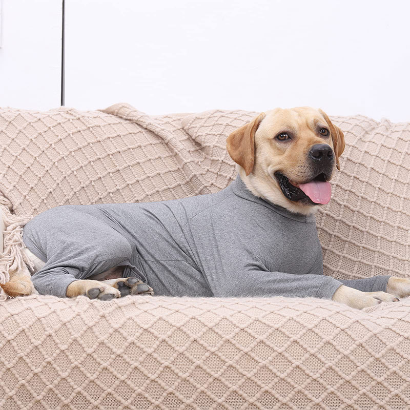 Anti Licking Jumpsuit  for Dogs