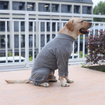 Dog anti-licking jumpsuit