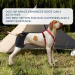 Brace for dog hip dysplasia