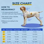 Brace for dog hip dysplasia
