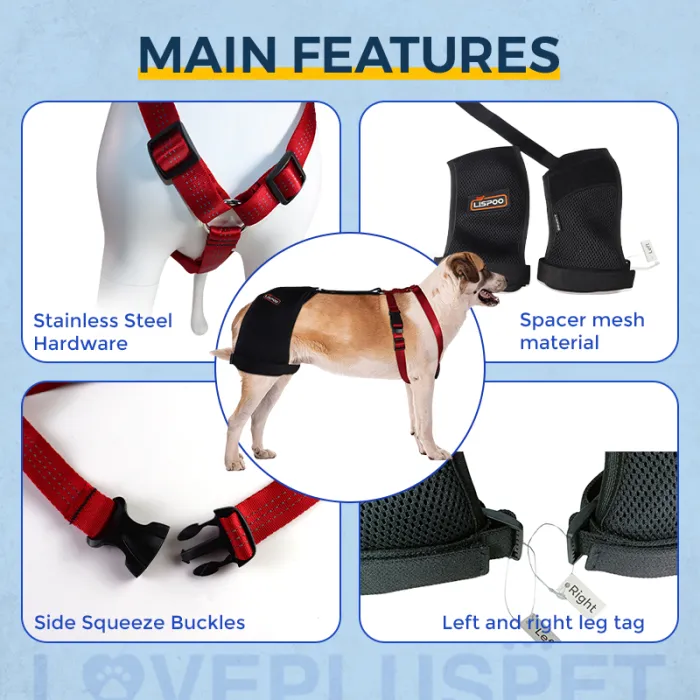 Dog Leg Braces For Back Leg Adjustable Pet Legs Protector Supporter Knee  Brace