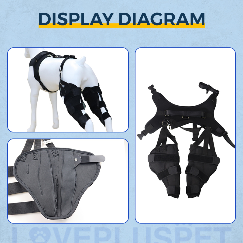 Acl brace for dog lacerations