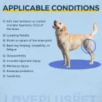 Acl brace for dog lacerations