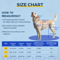 Dog Torn Acl Brace