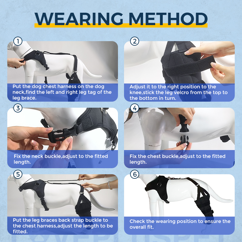Dog Torn Acl Brace