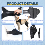 Dog Torn Acl Brace