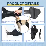 Dog Torn Acl Brace